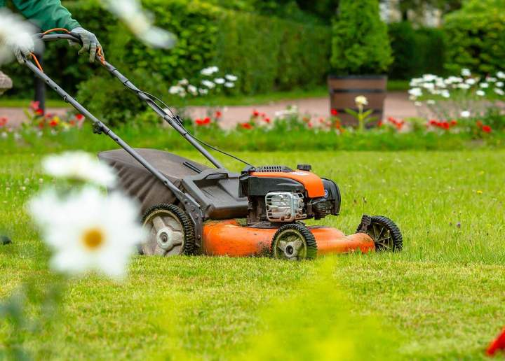 Machines de tonte Saint-Rémy-de-Provence